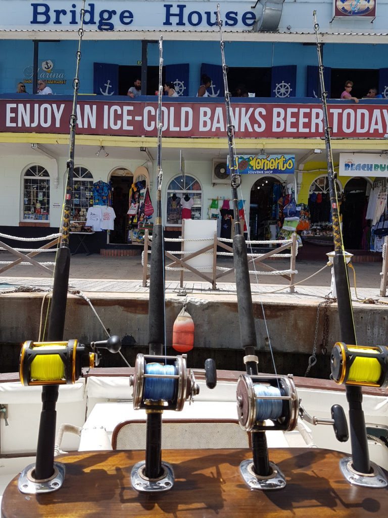 View from Fighting Chair on Legacy Fishing Boat